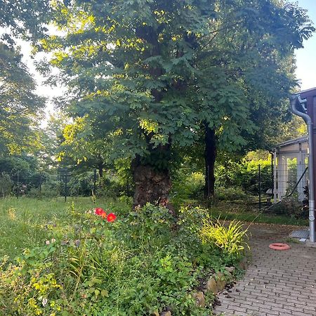Unterkunft Mozart Magdeburg Zewnętrze zdjęcie
